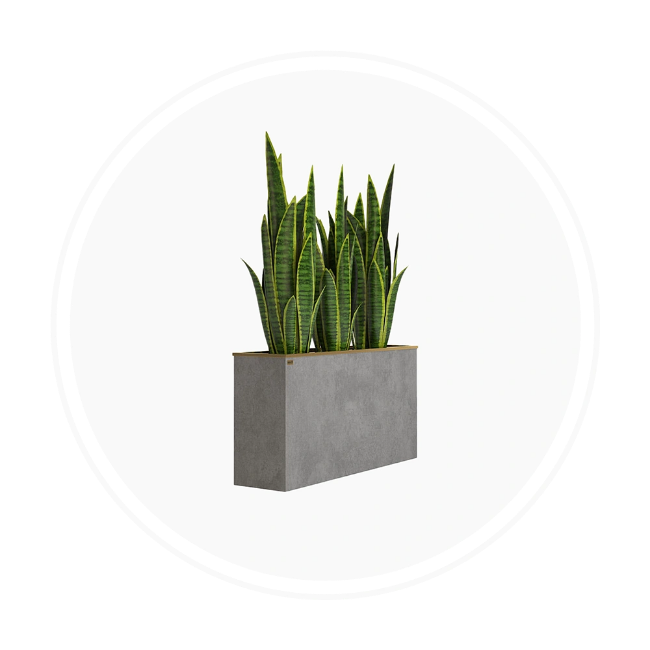 تصویر برای دسته  گلدان های فضای باز