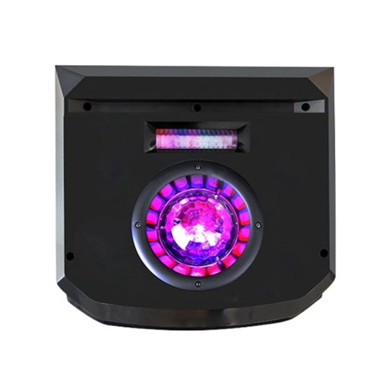 اسپیکر دیجی دار ایستاده دنای مدل DA3010DJ10YN