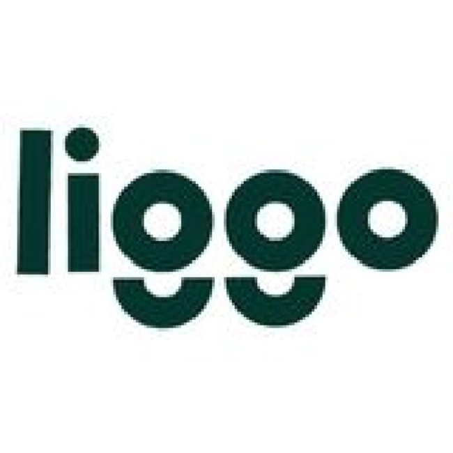 تصویر برای تولیدکننده: لیگو (Liggo)
