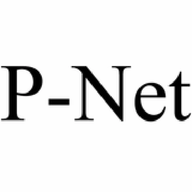 تصویر برای تولیدکننده: پی نت (P-Net)
